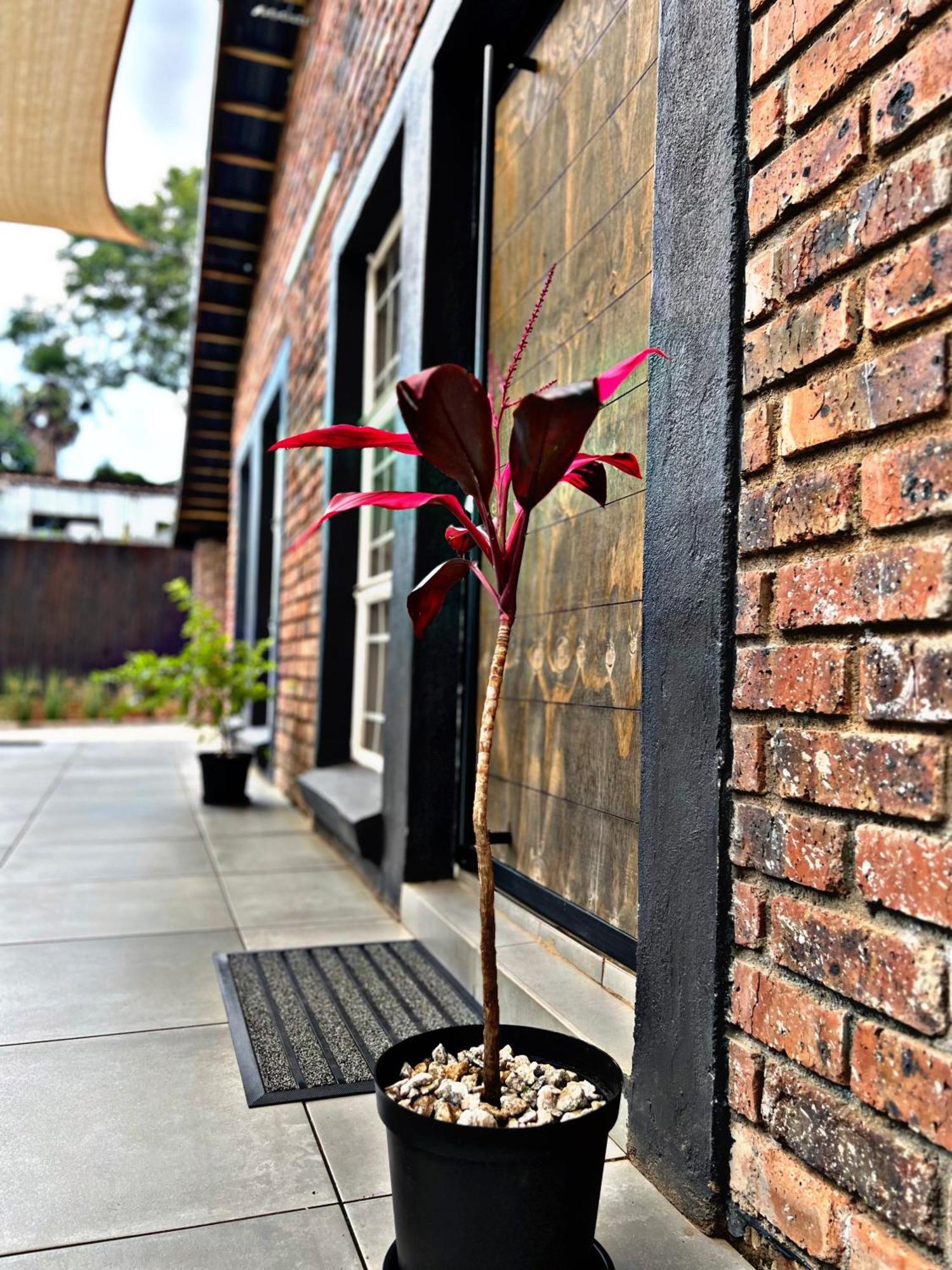 Lincoln Moon Guesthouse Graskop Exterior foto